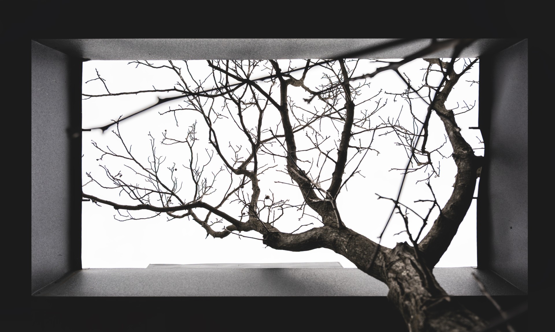 Innovative house design - Innovative Private House